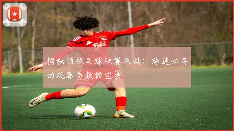 揭秘顶级足球联赛网站：球迷必备的观赛与数据宝典