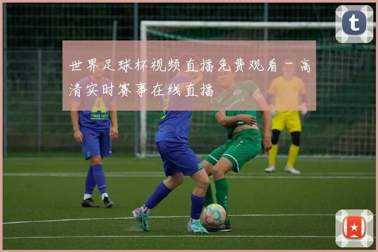 世界足球杯视频直播免费观看 - 高清实时赛事在线直播