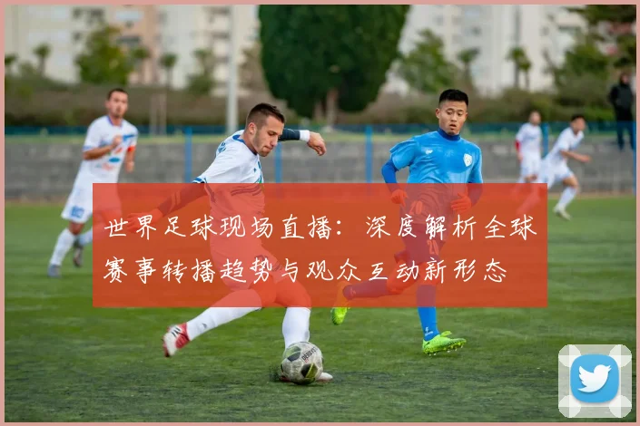 世界足球现场直播：深度解析全球赛事转播趋势与观众互动新形态